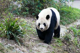 追梦谈昨日失利：我要做得更好 要让克莱下半场多接球